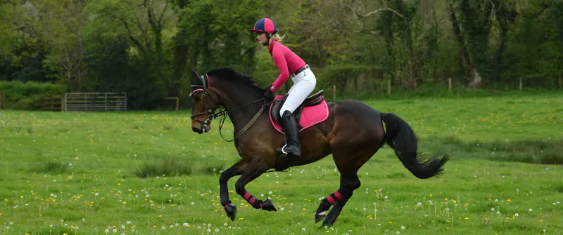 Woof Wear Close Contact Saddle Cloth - Berry-1